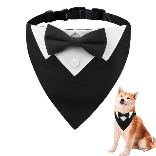 Dog Collar With Bow Tie