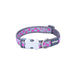 Dog Collar by Red Dingo on Cool Pink