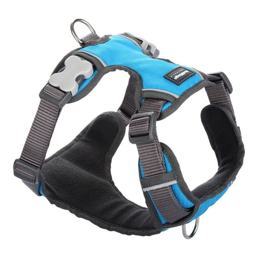 Dog Harness by Red Dingo Padded Turquoise Size Xl