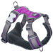 Dog Harness by Red Dingo Purple s