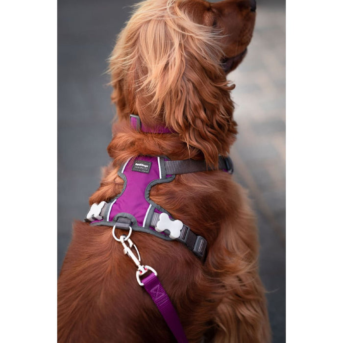 Dog Harness by Red Dingo Purple s