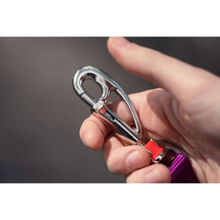 Dog Lead by Red Dingo Black