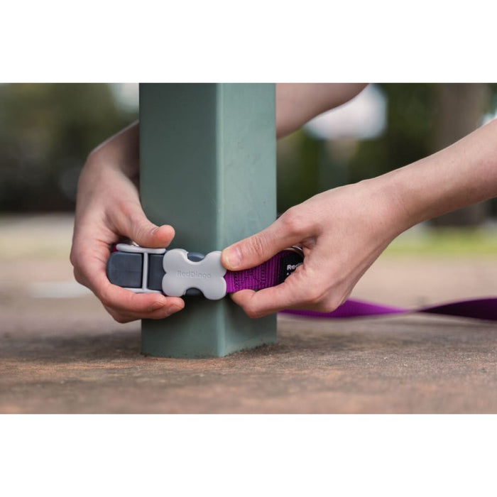 Dog Lead by Red Dingo Black