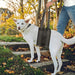Dog Lift Harness for Hind Leg Support Soft Pet Sling
