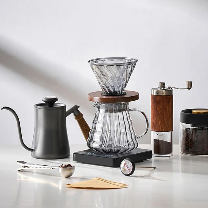 Drip Coffee Pot with Gooseneck Spout and Lid