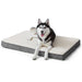 Durable Comfy Removeable Foam Pet Bed for Small Medium