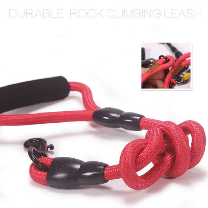 Durable Rock Climbing Nylon Dog Leash With Foam Handle