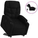 Electric Stand Up Recliner Chair Black Fabric Txbplta