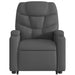 Electric Stand Up Recliner Chair Dark Grey Fabric Txbpltt