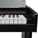 Electronic Piano Digital with 88 Keys & Music Stand Ibbtk