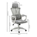 Ergonomic Mesh Office Chair Computer Seat with Headrest