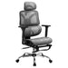 Ergonomic Office Chair Footrest Grey