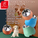 Pet Feeding Bowls Dog Food Water Feeder Stainless Steel