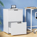 Filing Cabinet Files Storage Office Shelves File Organiser
