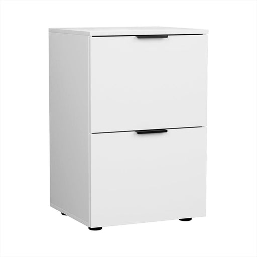 Filing Cabinet Files Storage Office Shelves File Organiser