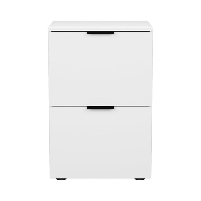 Filing Cabinet Files Storage Office Shelves File Organiser