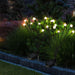 Goslash Picks Firfly Solar Lawn Lights 8led 4pc Outdoor