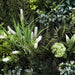 Flowering Bespoke Vertical Garden Green Wall Uv Resistant