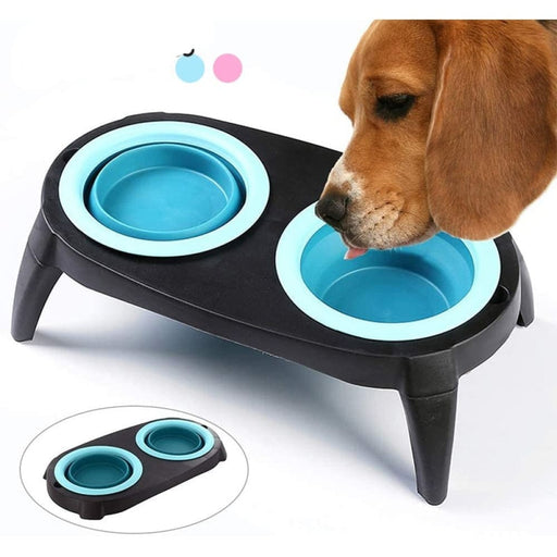 Foldable Eco - friendly Pet Feeder Dishes Bowl