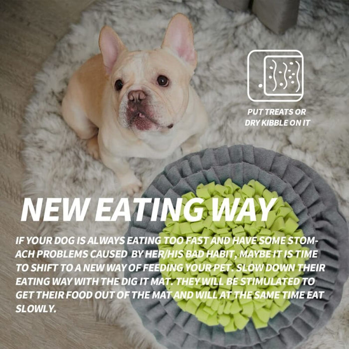 Foldable Non-toxic Slow Feeder Snuffle Puzzle Mat for Dog