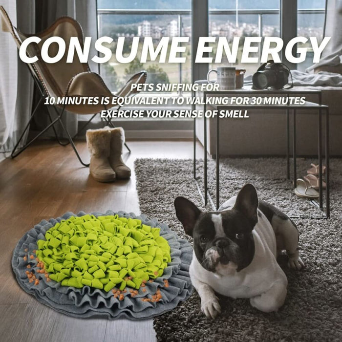 Foldable Non-toxic Slow Feeder Snuffle Puzzle Mat for Dog