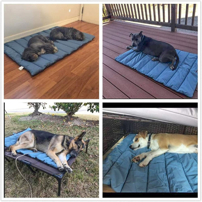 Foldable Waterproof Durable Breathable Dog Bed for Small