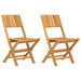 Folding Garden Chairs 2 Pcs 47x61x90 Cm Solid Wood Teak