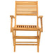 Folding Garden Chairs 2 Pcs 55x62x90 Cm Solid Wood Teak