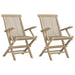 Folding Garden Chairs 2 Pcs Grey 56x61x89 Cm Solid Wood