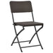 Folding Garden Chairs 2 Pcs Hdpe and Steel Brown Aappo