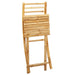 Folding Garden Chairs 2 Pcs 43x54x88 Cm Bamboo Tlnbtk