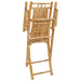 Folding Garden Chairs 2 Pcs 53x66x99 Cm Bamboo Tlnbtn