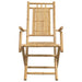 Folding Garden Chairs 2 Pcs 53x66x99 Cm Bamboo Tlnbtn