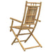 Folding Garden Chairs 2 Pcs 53x66x99 Cm Bamboo Tlnbtn
