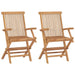 Folding Garden Chairs 2 Pcs Solid Teak Wood Aokkk