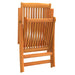 Folding Garden Chairs 2 Pcs Solid Wood Eucalyptus Tolblk