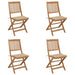 Folding Garden Chairs 4 Pcs with Cushions Solid Wood Acacia