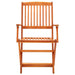 Folding Garden Chairs 4 Pcs Solid Eucalyptus Wood Toxapb