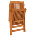 Folding Garden Chairs with Footrests 2 Pcs Solid Wood