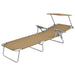 Folding Sun Lounger with Canopy Steel Taupe Aaxki