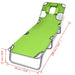Folding Sun Lounger with Head Cushion Powder-coated Steel