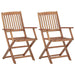Folding Outdoor Chairs 2 Pcs Solid Acacia Wood Totlbo