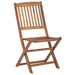 Folding Outdoor Chairs 2 Pcs Solid Acacia Wood Totlbt
