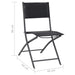 Folding Outdoor Chairs 2 Pcs Steel and Textilene Totbnx