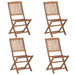 Folding Outdoor Chairs 4 Pcs Solid Acacia Wood Totlba