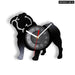 French Bulldog Vinyl Record Clock