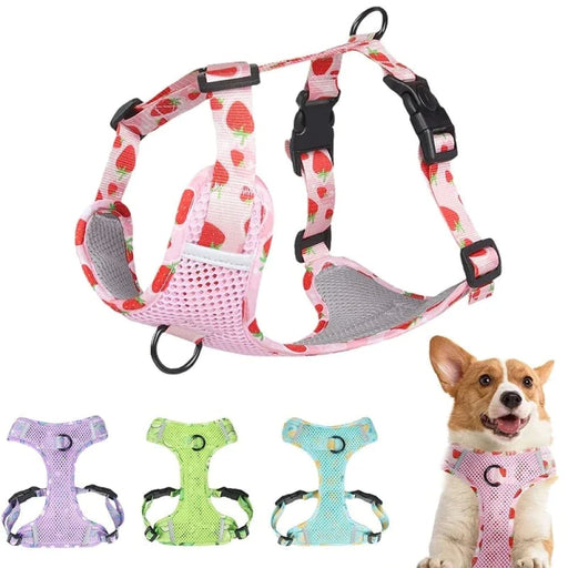 Fruit Print Dog Harness Soft Breathable No Pull Reflective