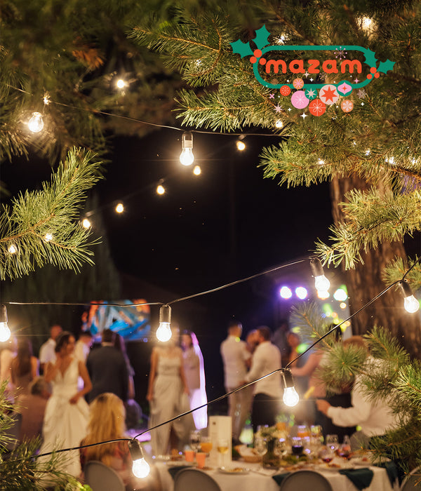 20M Festoon String Lights Led Christmas Waterproof Wedding Party Outdoor