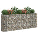 Gabion Raised Bed Galvanised Iron 260x50x100 Cm Opxbta