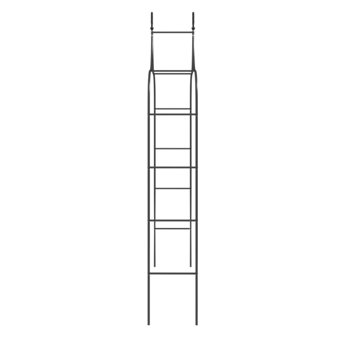 Garden Arches 2 Pcs Black 120x38x260 Cm Steel Toktak